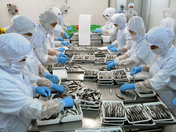 Trao chứng nhận Hàng Việt Nam chất lượng cao cho 500 doanh nghiệp ảnh 1