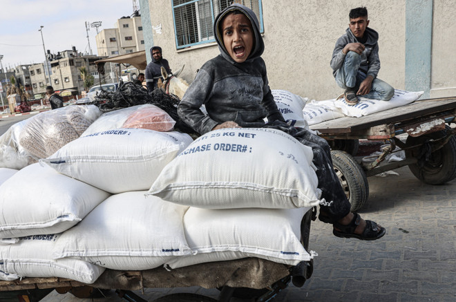 WFP đặt mục tiêu hỗ trợ lương thực cho 800.000 người Palestine ảnh 1