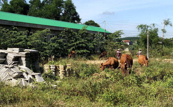 Dự án hơn 70 tỷ đồng vẫn chưa hoàn thành sau nhiều lần gia hạn ảnh 1
