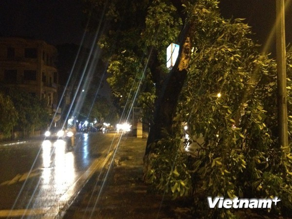 Bắc Bộ và Bắc Trung Bộ mưa dông, đề phòng tố lốc ảnh 1