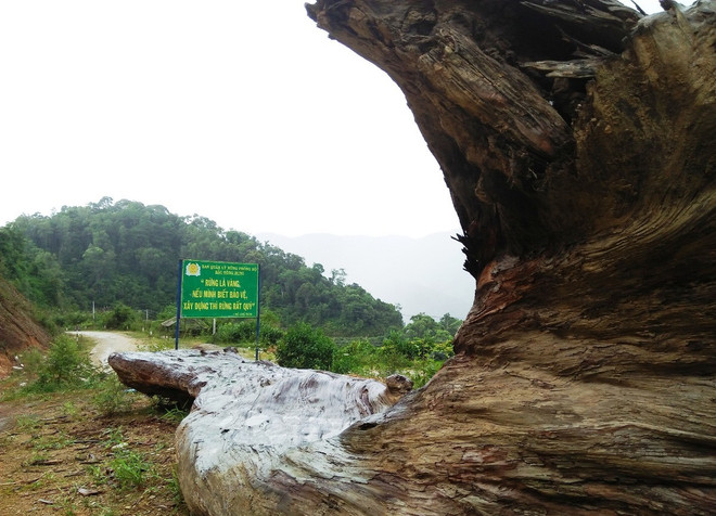 Chuyện về những người lính gác cổng ‘sơn lâm’ đón Tết ảnh 3