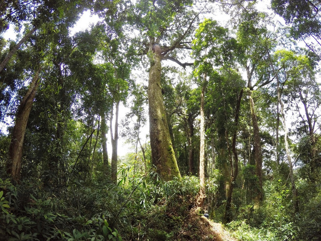 Chuyện về những người lính gác cổng ‘sơn lâm’ đón Tết ảnh 5