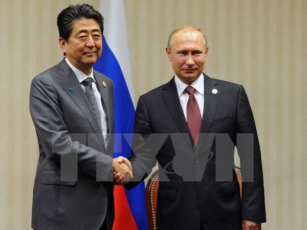 Thủ tướng Nhật Bản Shinzo Abe hội đàm với Tổng thống Nga Vladimir Putin. (Nguồn: EPA/TTXVN) Thủ tướng Nhật Bản lên tiếng về việc Nga triển khai tên lửa ảnh 1