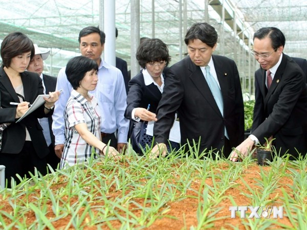 Khu nông nghiệp công nghệ cao TP.HCM sẽ mở rộng gần 400ha ảnh 1