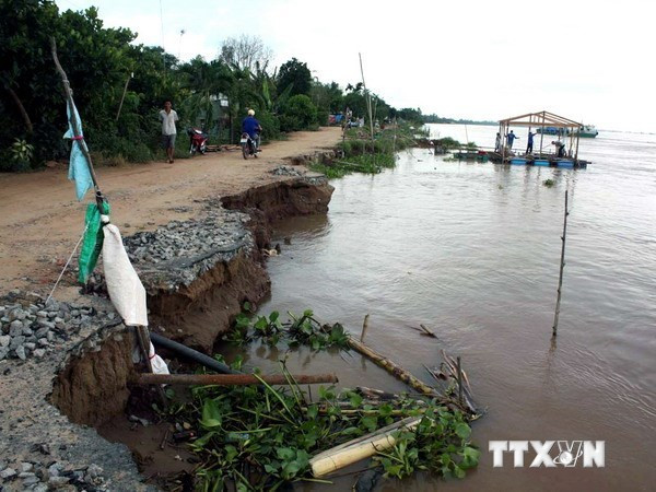 Nước biển xâm thực nghiêm trọng dọc bờ biển Quảng Nam ảnh 1