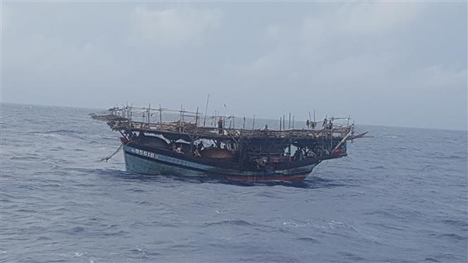 Tàu cá Việt Nam đã thực hiện nghĩa vụ quốc tế khi hoạt động trên biển ảnh 1