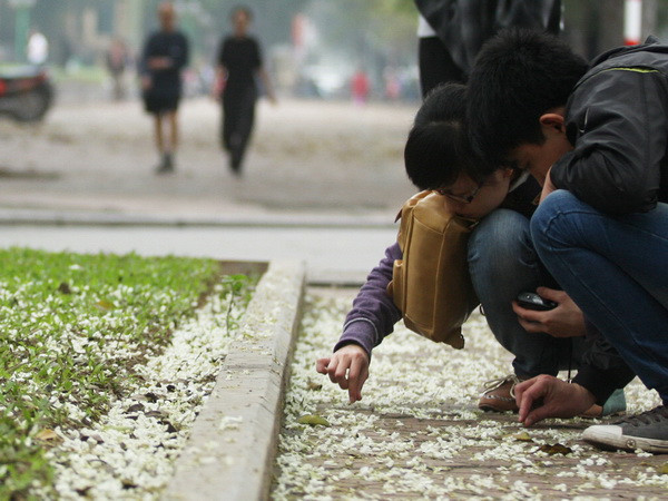 Khu vực phía Bắc tiếp tục mưa phùn vào hai ngày cuối tuần ảnh 1