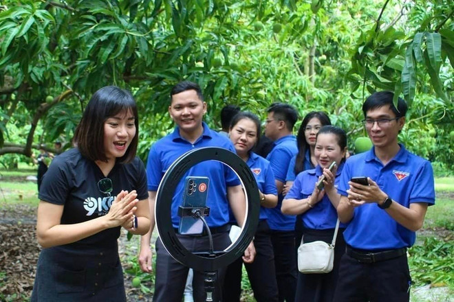 Thanh niên tỉnh Khánh Hòa bán sản phẩm OCOP tại vườn xoài huyện Cam Lâm, tỉnh Khánh Hòa. (Ảnh: TTXVN phát) thuong mai dien tu- livestream2.jpg