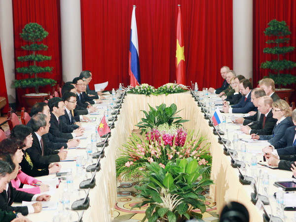 Chùm ảnh hội đàm nguyên thủ Việt Nam-Liên bang Nga ảnh 3