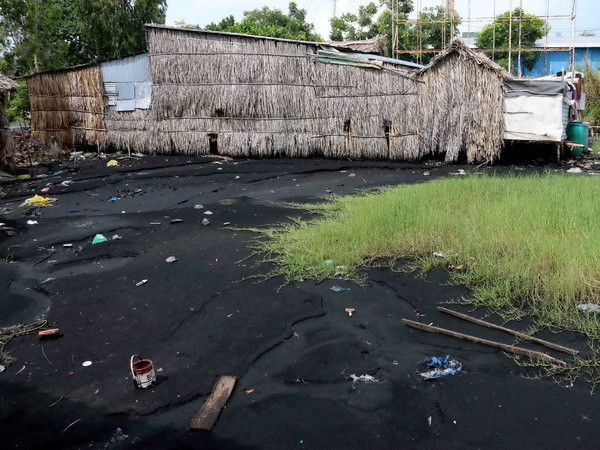 Cà Mau xử lý 10 cơ sở gây ô nhiễm môi trường nghiêm trọng ảnh 1