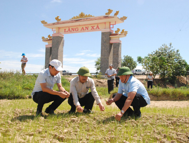 Quảng Trị triển khai các phương án chống hạn khẩn cấp ảnh 2