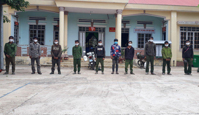 Triệt phá nhóm đối tượng vận chuyển lâm sản trái phép vào Việt Nam ảnh 1