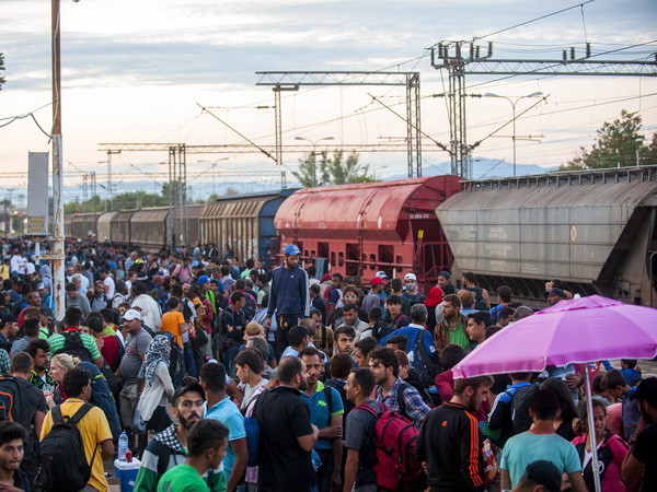 Thảm kịch 71 người tị nạn chết ngạt trên một xe tải ở Áo ảnh 1