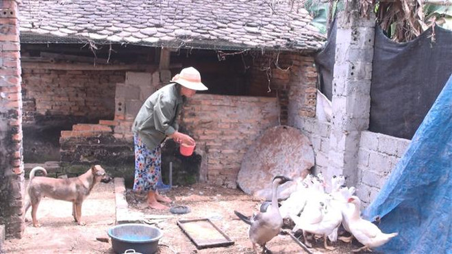 Xung quanh việc chi trả gói hỗ trợ 62.000 tỷ đồng tại Thanh Hóa ảnh 1