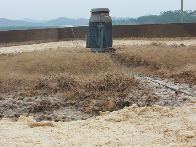 Hơn 20,5 tỷ đồng xử phạt vi phạm môi trường trong 6 tháng ảnh 1