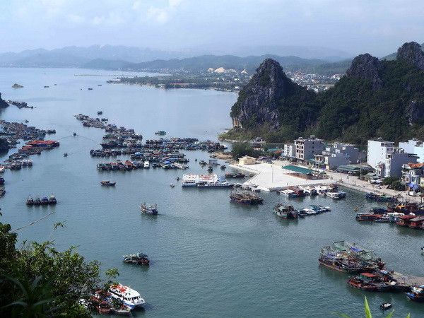 Bồ Đào Nha muốn tăng đầu tư vào hạ tầng kinh tế biển Việt Nam ảnh 1