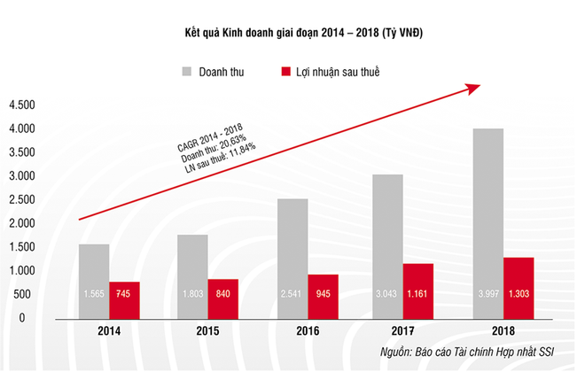 SSI đặt lợi nhuận trước thuế 1.700 tỷ đồng trong năm 2019 ảnh 2