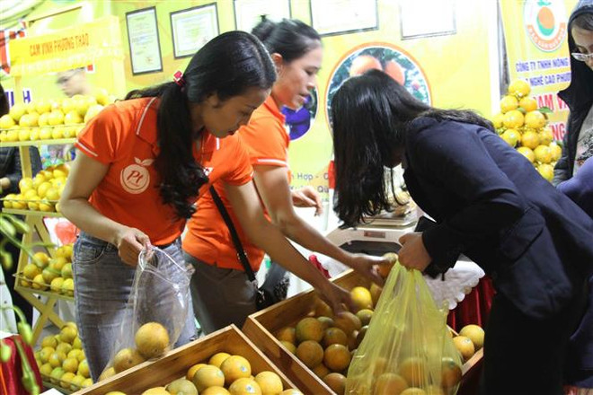 Chính thức khai mạc Hội chợ cam Vinh – Nghệ An năm 2018 ảnh 1