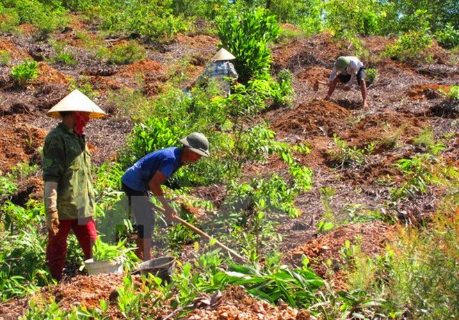 Kiến nghị hỗ trợ chính sách đất đai cho đồng bào dân tộc thiểu số ảnh 2