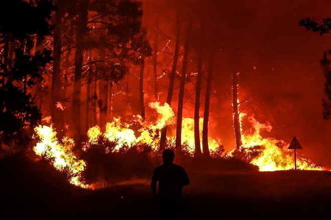 Lửa cháy thiêu rụi những cánh rừng ở vùng Belin-Beliet, Tây Nam Pháp ngày 11/8/2022. (Ảnh: AFP/TTXVN) Pháp: Tro tàn đám cháy rừng cách đây 8 tháng vẫn âm ỉ trong lòng đất ảnh 1