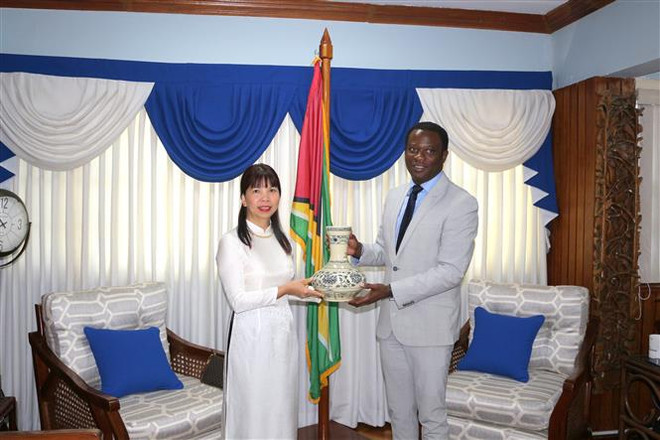 Guyana mong muốn tăng cường hợp tác với Việt Nam trong nhiều lĩnh vực ảnh 2