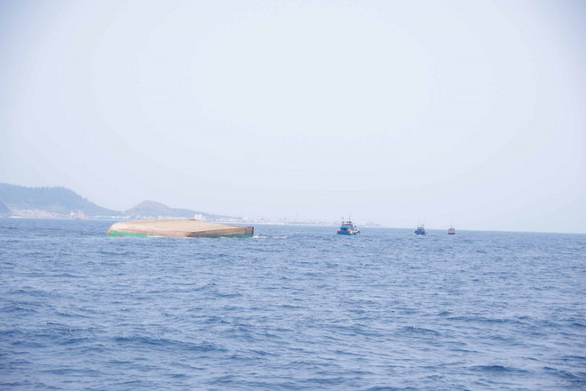 ttxvn_chim sa lan.jpg