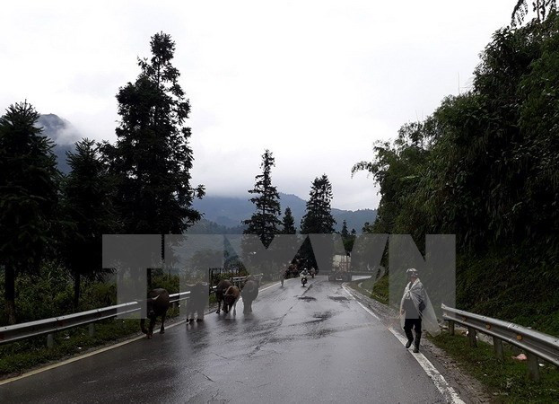 Bắc Bộ trời chuyển rét, vùng núi rét đậm, Trung Bộ mưa rất to ảnh 1