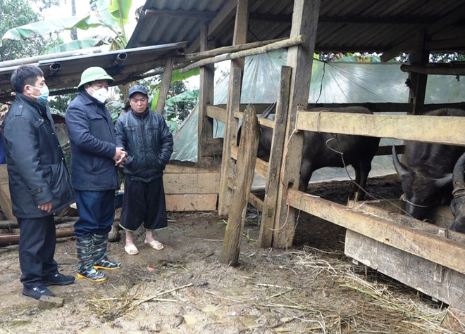 Băng giá xuất hiện ở các huyện vùng cao Trạm Tấu và Mù Cang Chải ảnh 1