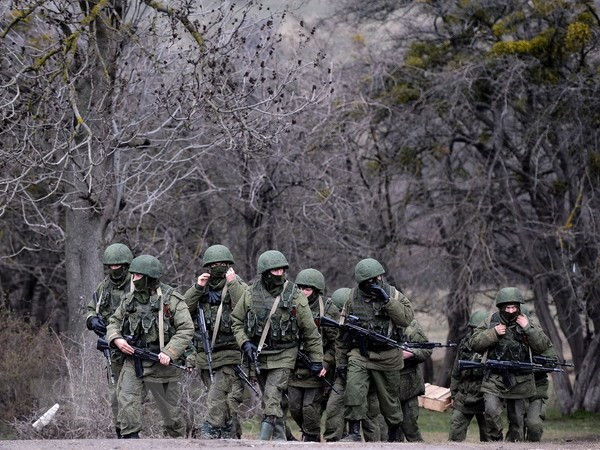 Duma Nga công bố dự thảo bảo vệ biên giới 2 nước CH tự xưng ở Ukraine ảnh 1