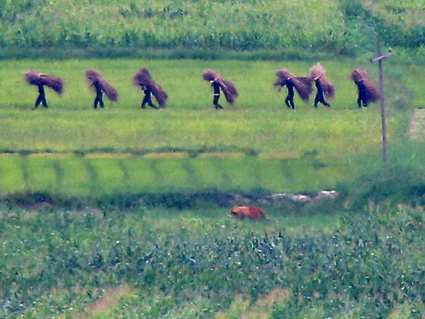 Triều Tiên bắt người đào tẩu làm gián điệp cho Hàn Quốc ảnh 1