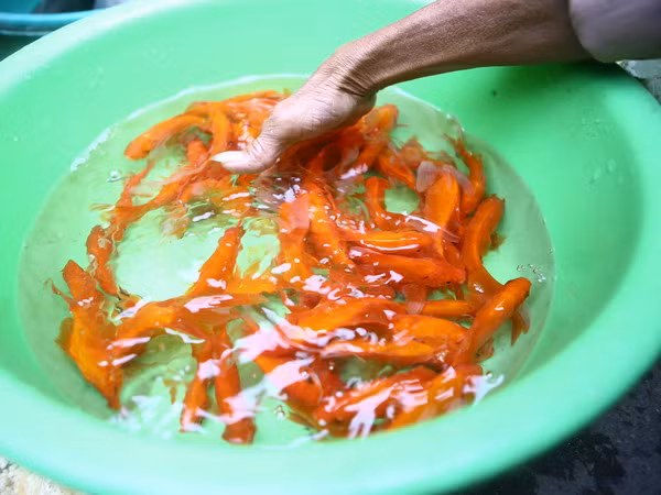 Tết ông Công ông Táo: Để có một cái Tết đẹp và ý nghĩa ảnh 1