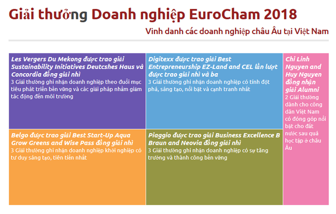 Hiệp hội doanh nghiệp châu Âu kỷ niệm 20 năm thành lập tại Việt Nam ảnh 2