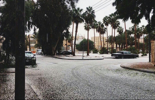 Tuyết rơi trắng tại Saudi Arabia. (Nguồn: rt.com) Bất ngờ với tuyết rơi trắng xóa trên sa mạc cát tại Saudi Arabia ảnh 4