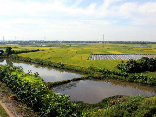 Thủ tướng chỉ thị lập kế hoạch sử dụng đất 2016-2020 cấp quốc gia ảnh 1