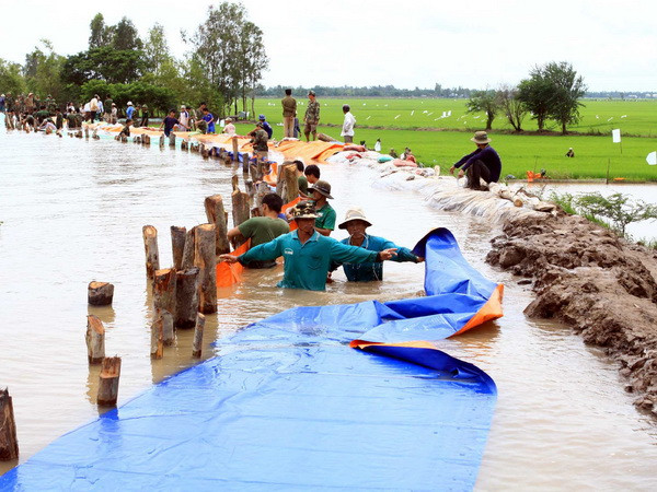 Đồng bằng sông Cửu Long chủ động phòng tránh thiệt hại do lũ ảnh 1