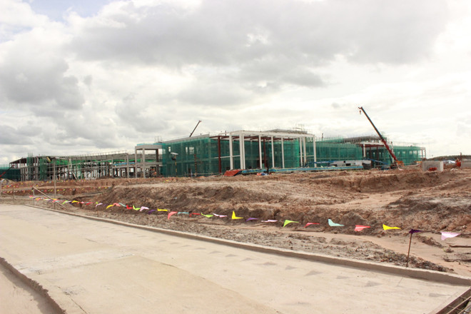 Tập đoàn LEGO hoàn thành cam kết trồng 50.000 cây tại Bình Dương ảnh 2