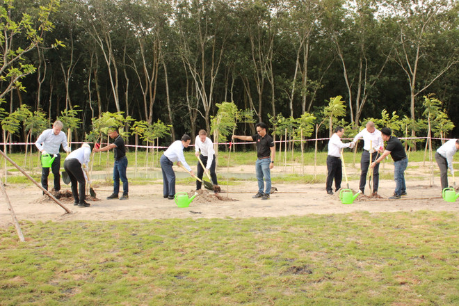 Tập đoàn LEGO hoàn thành cam kết trồng 50.000 cây tại Bình Dương ảnh 1