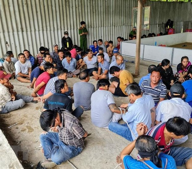 Các con bạc trong một vụ án đánh bạc bị lực lượng công an bắt giữ. Ảnh minh họa. (Nguồn: TTXVN phát) Đắk Lắk: Bắt 47 đối tượng đánh bạc trá hình bằng cá cược bia, thuốc lá ảnh 1