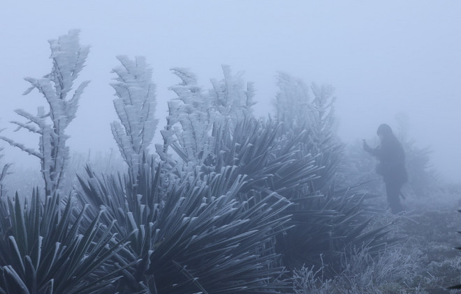 bang tuyet dinh mau son (2).jpg