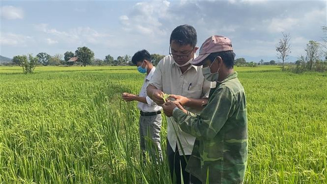 Giám sát thực hiện các chương trình mục tiêu quốc gia tại 3 Vùng ảnh 1