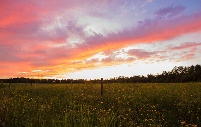 Australia tăng gấp đôi lệ phí đăng ký đối với nhà đầu tư nước ngoài ảnh 1