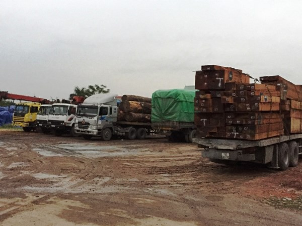 Hải Dương: Bắt được cả đoàn xe chở quá tải trên 200% ảnh 1