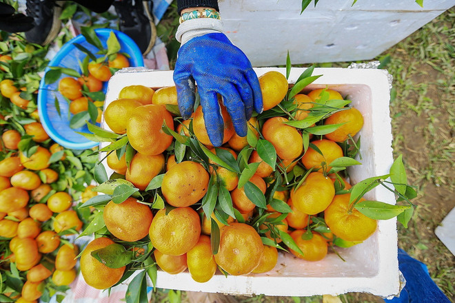 ttxvn cam cao phong3_resize.jpg