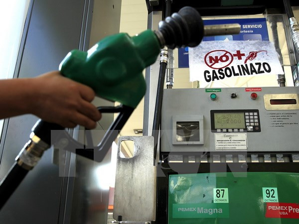 Năm 2035, tốc độ tiêu thụ dầu mỏ của Ấn Độ sẽ nhanh nhất thế giới ảnh 1