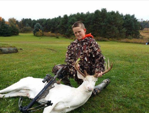 Tranh cãi vì vụ chú bé 11 tuổi săn hươu bạch tạng quý hiếm ảnh 1