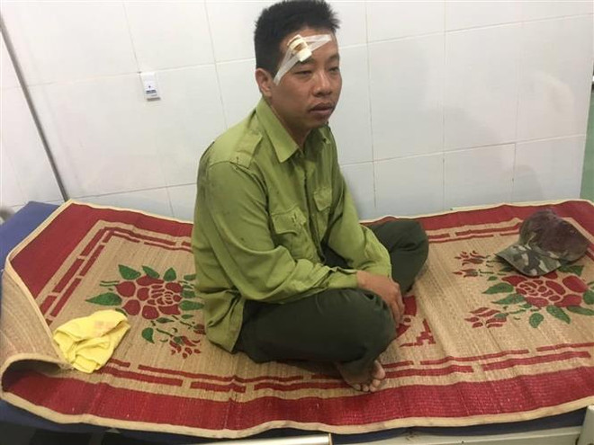 Đắk Lắk: Thêm một vụ hành hung kiểm lâm Vườn quốc gia Yok Đôn ảnh 1