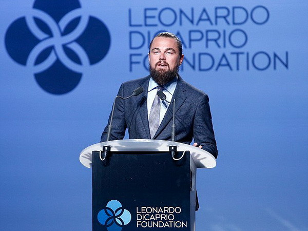 DiCaprio gây quỹ 40 triệu USD cho hoạt động bảo vệ môi trường ảnh 1