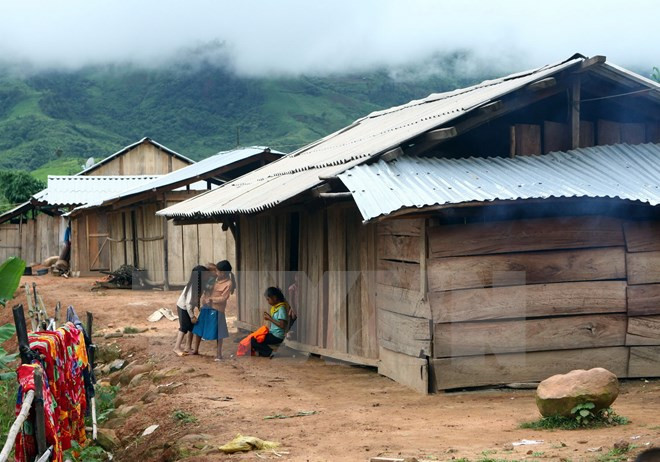 Yêu cầu giải quyết dứt điểm tình trạng phá rừng tại Mường Nhé ảnh 1