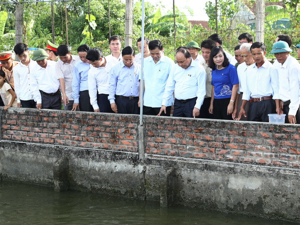 Thủ tướng thăm mô hình nông thôn mới "vườn mẫu" tại Hà Tĩnh ảnh 1