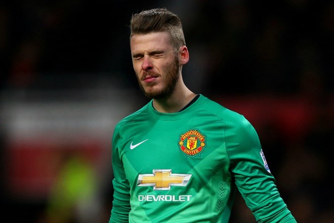 Louis van Gaal khẳng định đã tìm thấy người thay David De Gea ảnh 1